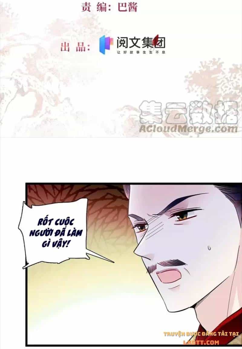 Tự Cẩm - Chương 197 - ảnh 3