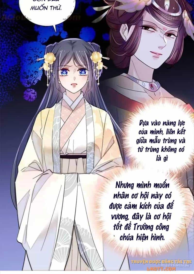 Tự Cẩm - Chương 197 - ảnh 38