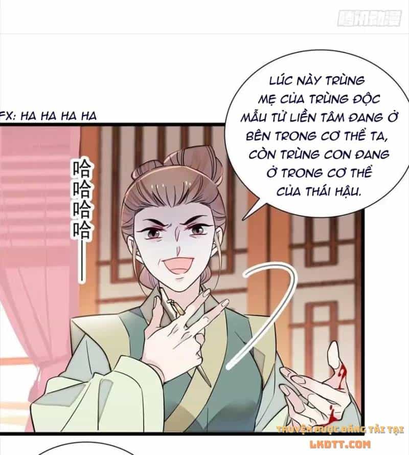 Tự Cẩm - Chương 197 - ảnh 6