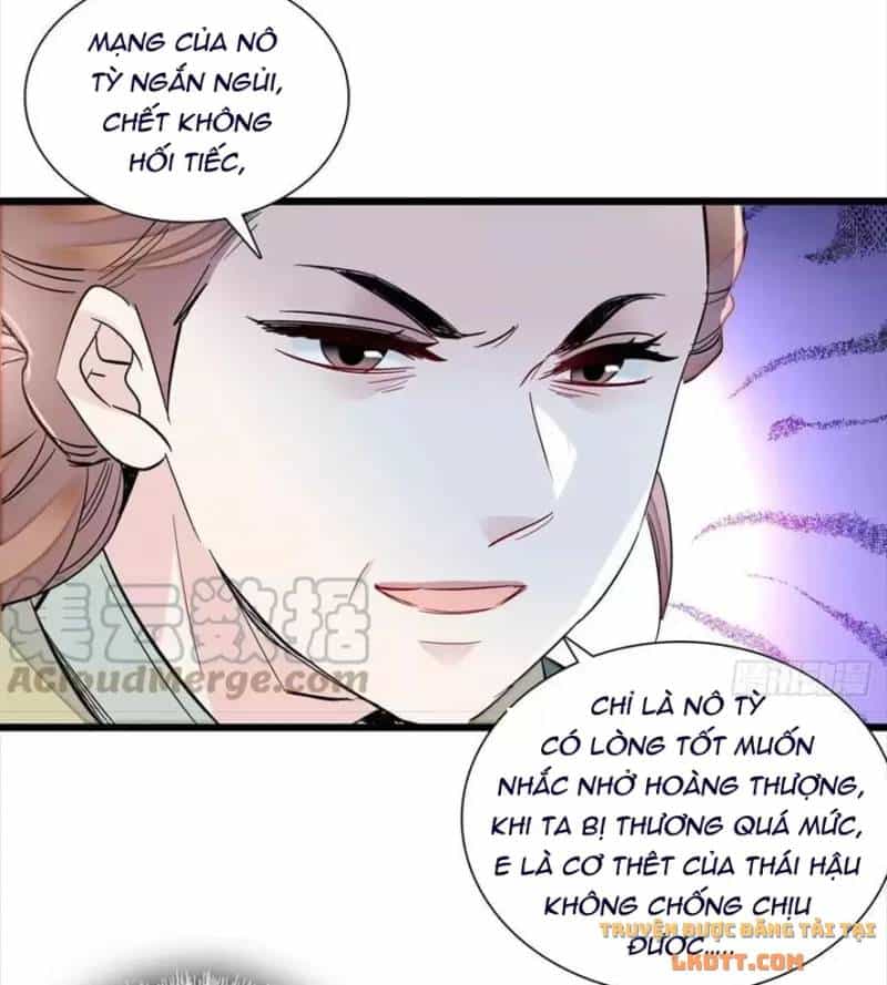 Tự Cẩm - Chương 197 - ảnh 7
