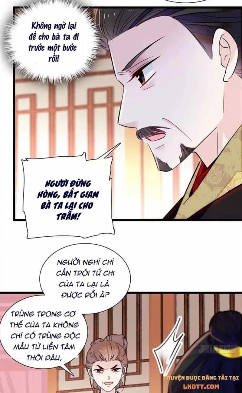 Tự Cẩm - Chương 197 - ảnh 8
