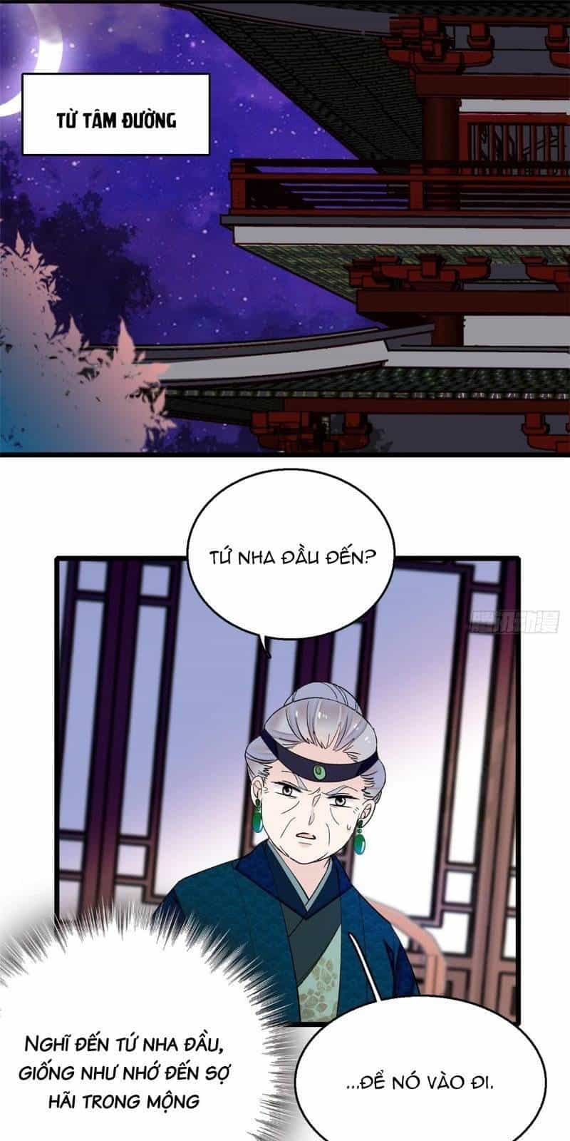 Tự Cẩm - Chương 17 - ảnh 23