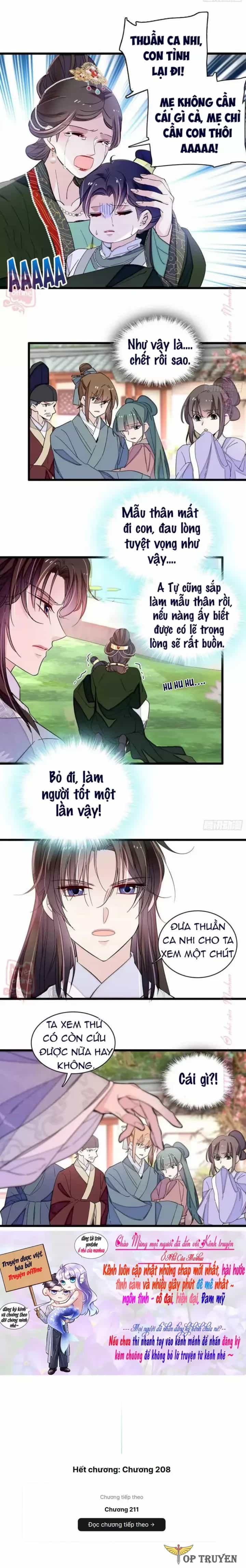 Tự Cẩm - Chương 208 - ảnh 7