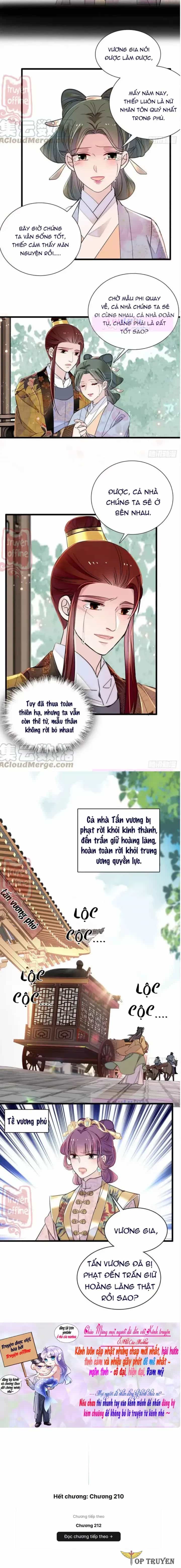 Tự Cẩm - Chương 210 - ảnh 7
