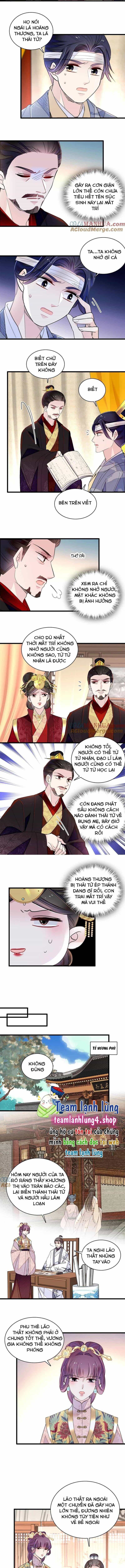 Tự Cẩm - Chương 244 - ảnh 4