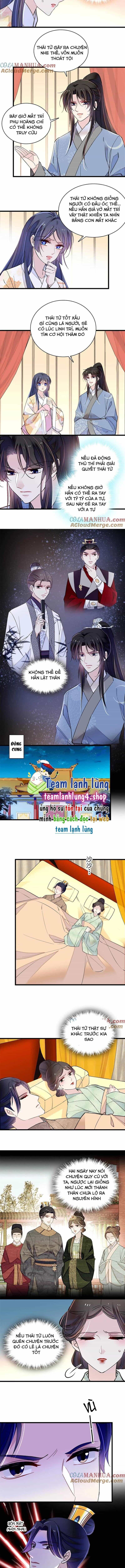 Tự Cẩm - Chương 245 - ảnh 5