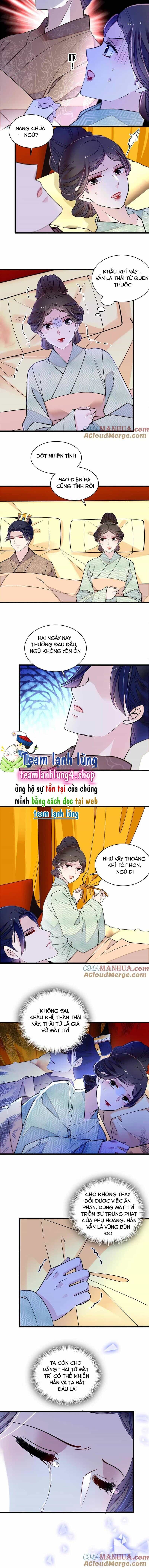 Tự Cẩm - Chương 245 - ảnh 6