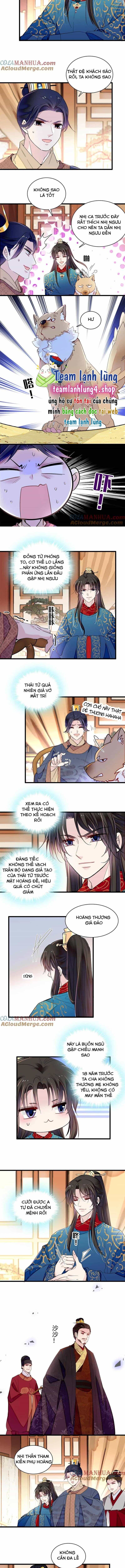 Tự Cẩm - Chương 246 - ảnh 5