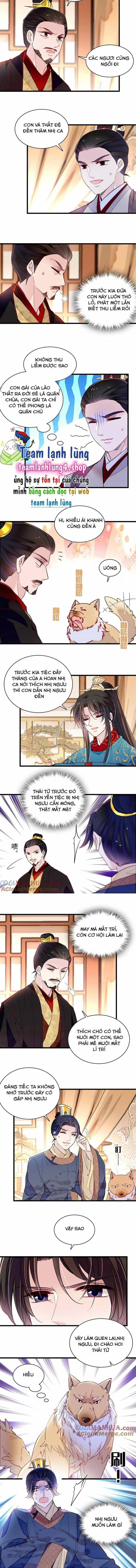 Tự Cẩm - Chương 246 - ảnh 6