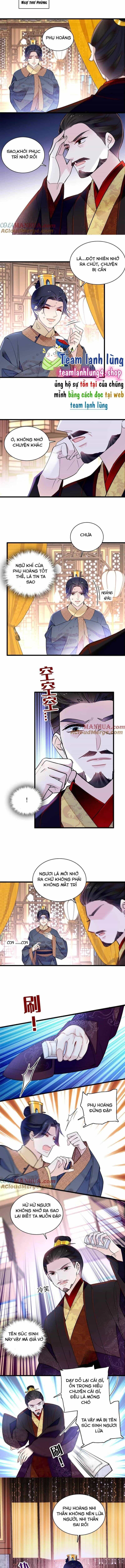 Tự Cẩm - Chương 247 - ảnh 4