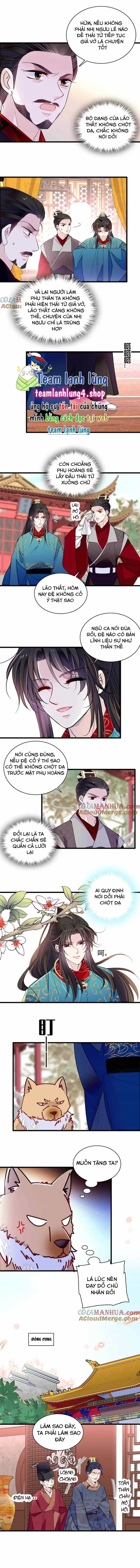 Tự Cẩm - Chương 248 - ảnh 3