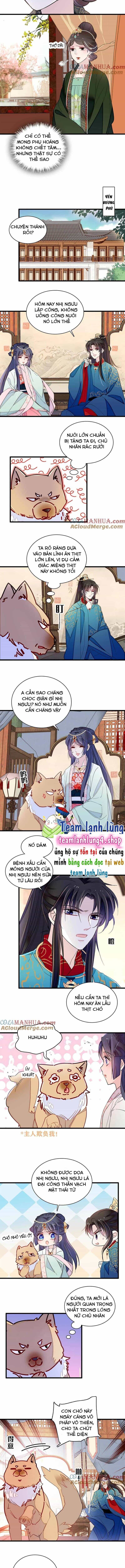 Tự Cẩm - Chương 248 - ảnh 5