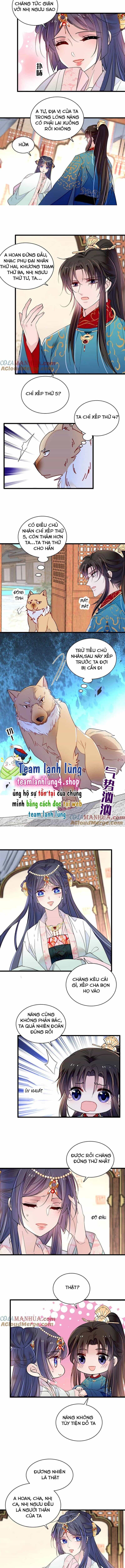 Tự Cẩm - Chương 248 - ảnh 6