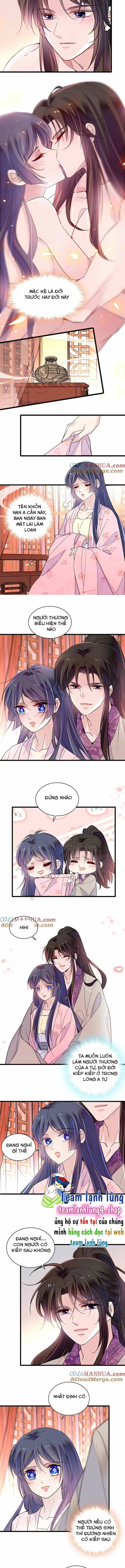 Tự Cẩm - Chương 249 - ảnh 3