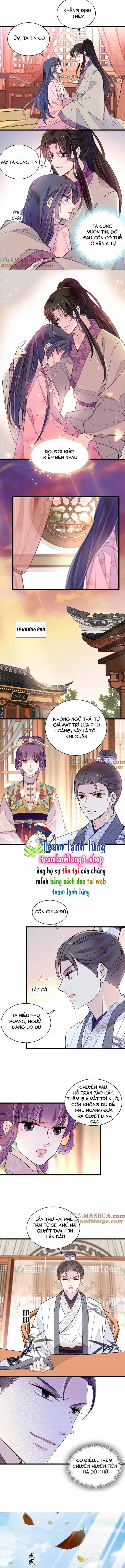 Tự Cẩm - Chương 249 - ảnh 4