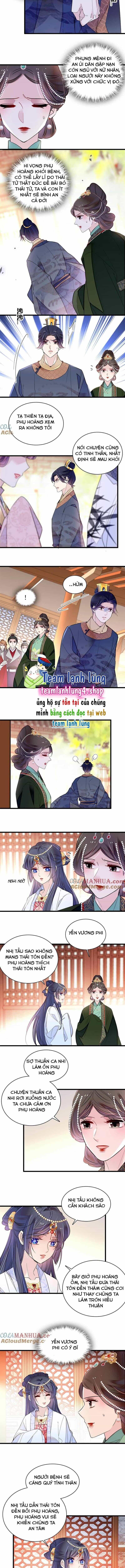 Tự Cẩm - Chương 251 - ảnh 3