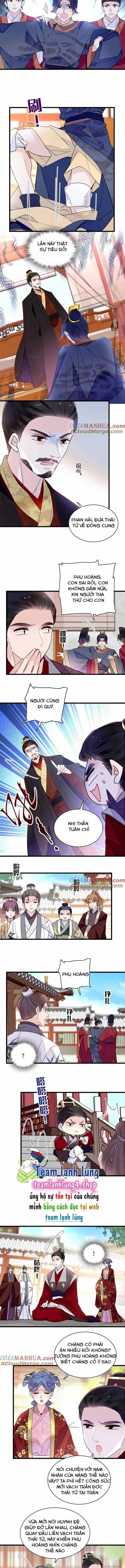 Tự Cẩm - Chương 253 - ảnh 3