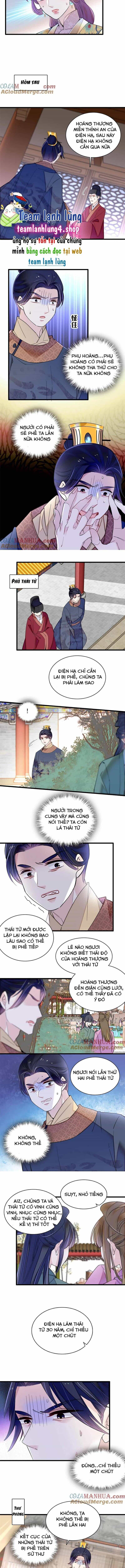 Tự Cẩm - Chương 253 - ảnh 5