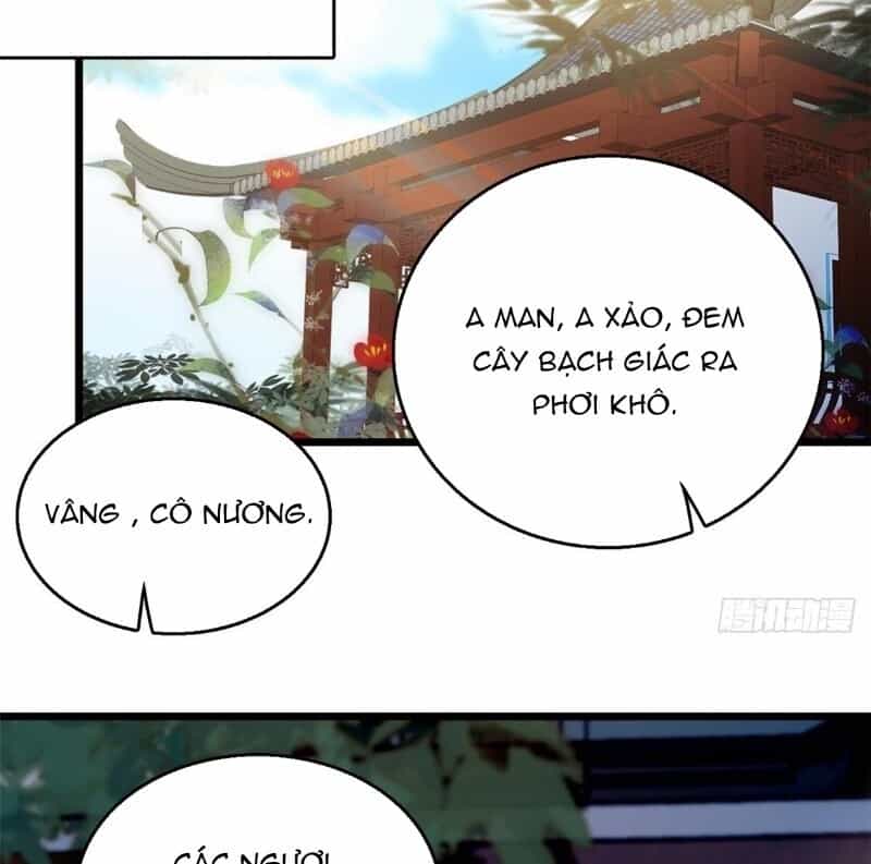 Tự Cẩm - Chương 22 - ảnh 42