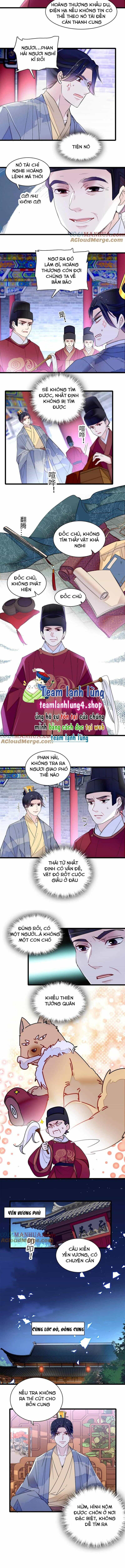 Tự Cẩm - Chương 257 - ảnh 4
