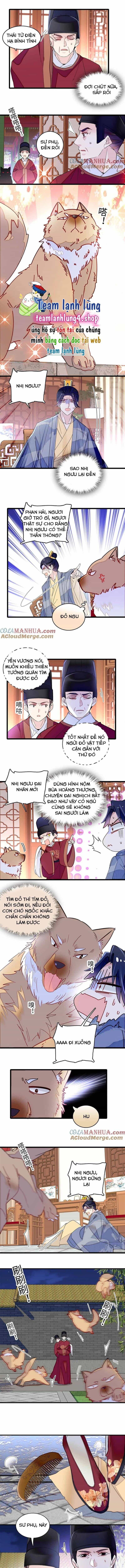 Tự Cẩm - Chương 257 - ảnh 5