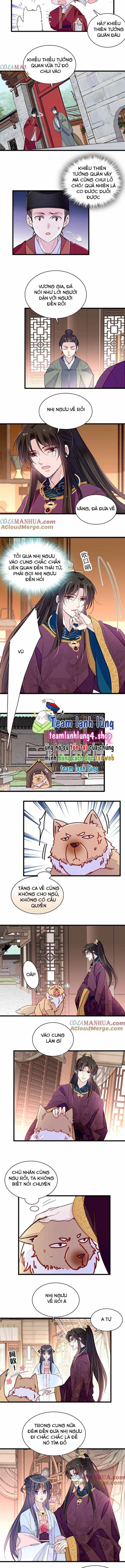 Tự Cẩm - Chương 258 - ảnh 5