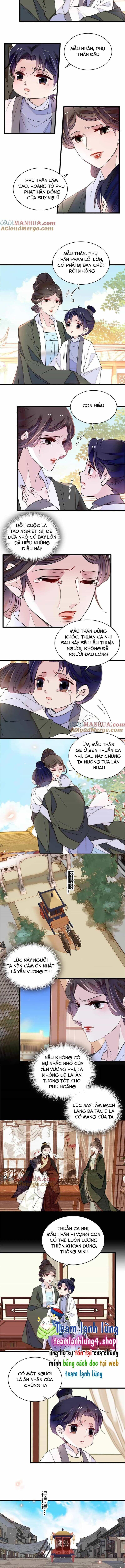 Tự Cẩm - Chương 259 - ảnh 4
