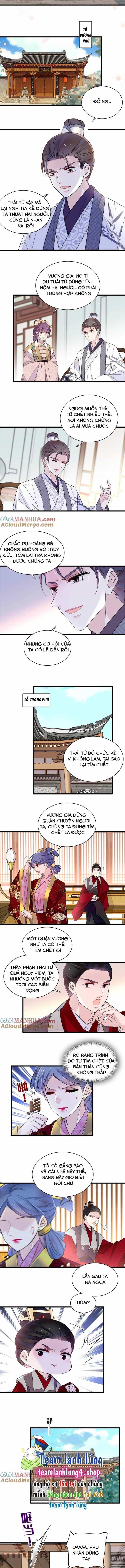 Tự Cẩm - Chương 259 - ảnh 5