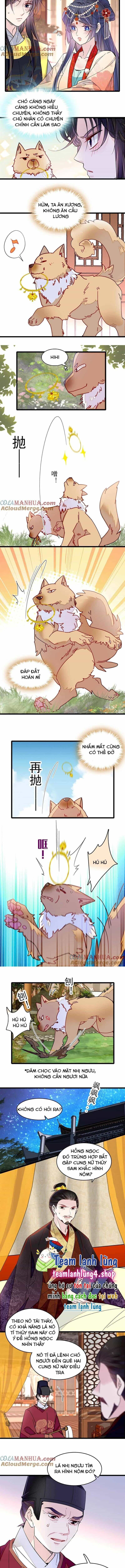 Tự Cẩm - Chương 260 - ảnh 4
