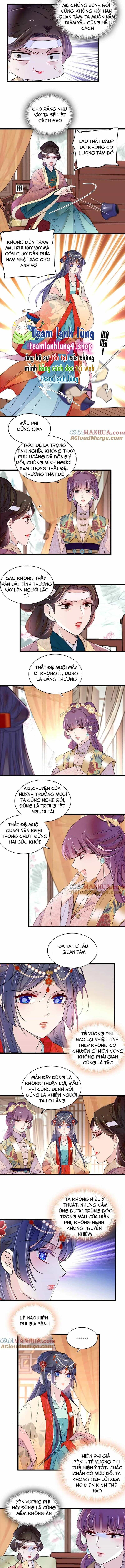 Tự Cẩm - Chương 267 - ảnh 3