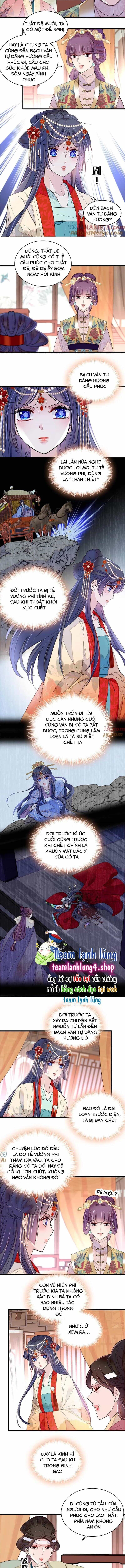 Tự Cẩm - Chương 267 - ảnh 4