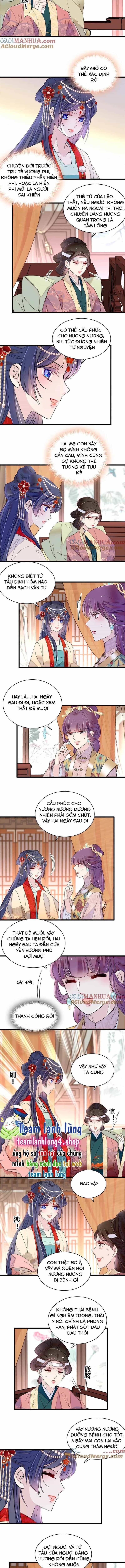 Tự Cẩm - Chương 267 - ảnh 5