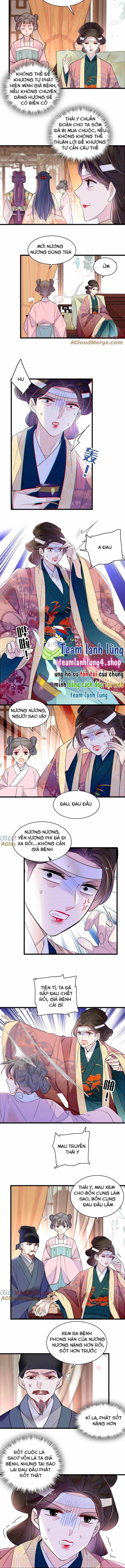 Tự Cẩm - Chương 267 - ảnh 6
