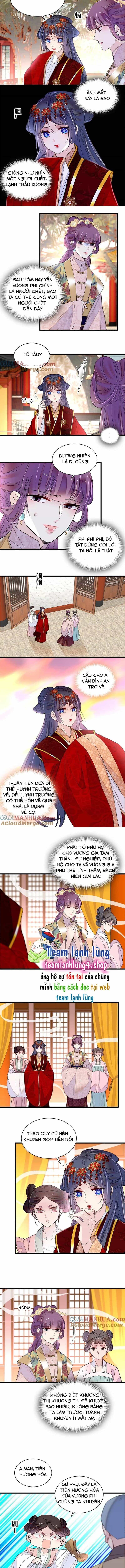 Tự Cẩm - Chương 269 - ảnh 6