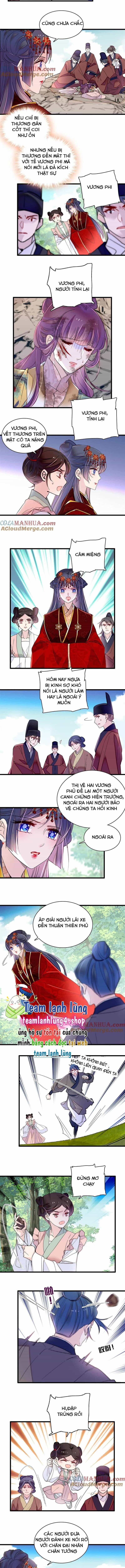 Tự Cẩm - Chương 271 - ảnh 5