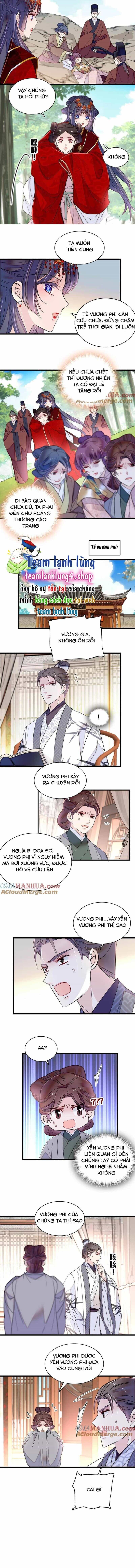 Tự Cẩm - Chương 271 - ảnh 6