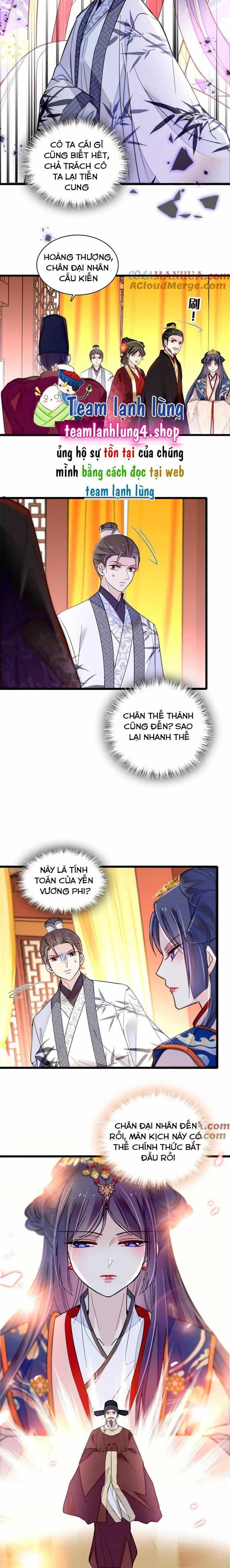 Tự Cẩm - Chương 272 - ảnh 6