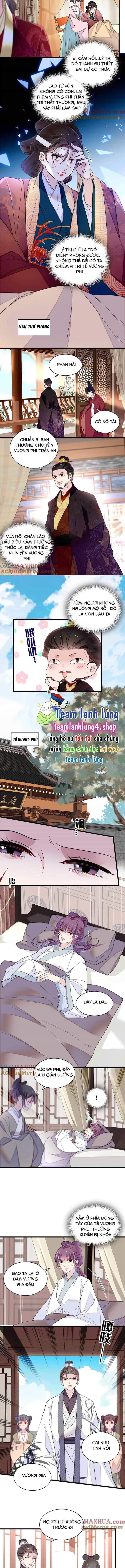 Tự Cẩm - Chương 274 - ảnh 5