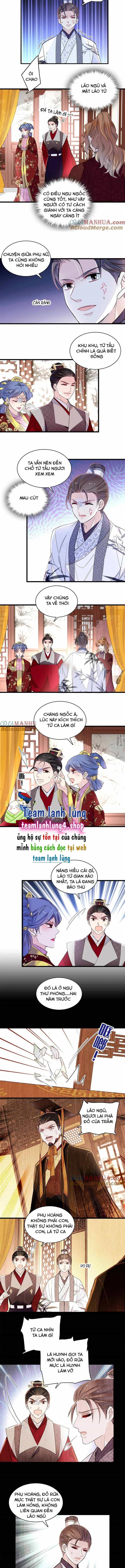 Tự Cẩm - Chương 275 - ảnh 4