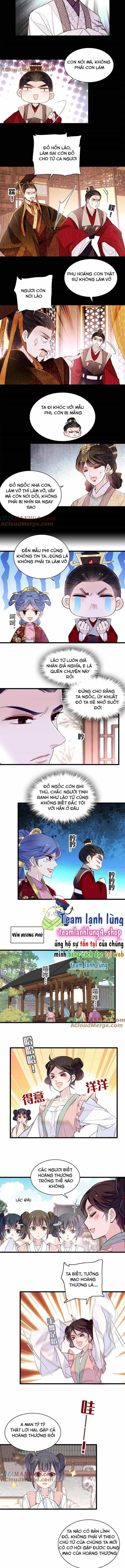 Tự Cẩm - Chương 275 - ảnh 5