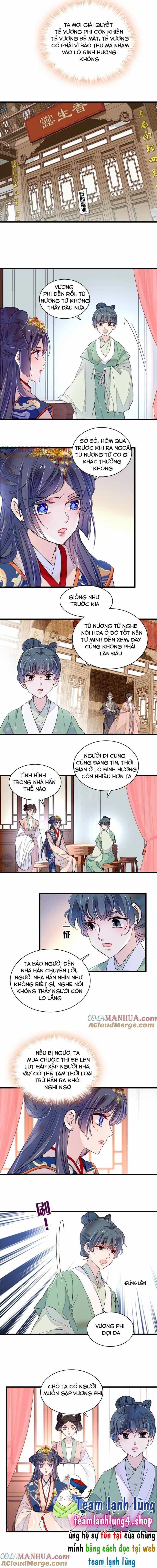 Tự Cẩm - Chương 276 - ảnh 6