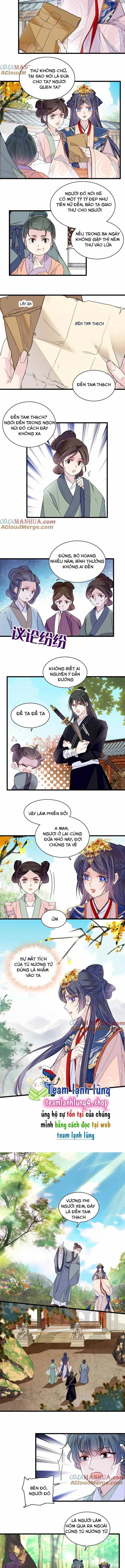 Tự Cẩm - Chương 277 - ảnh 5