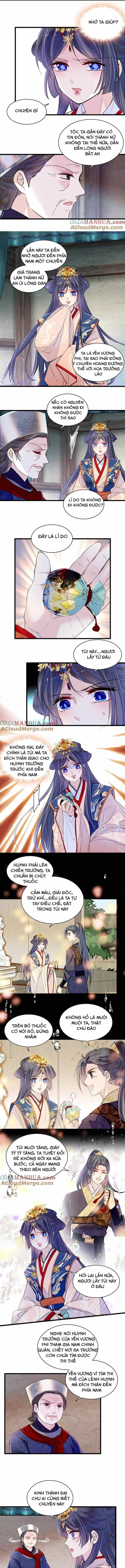 Tự Cẩm - Chương 278 - ảnh 4