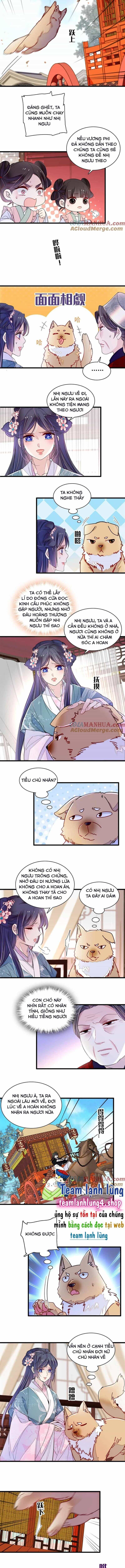 Tự Cẩm - Chương 279 - ảnh 4