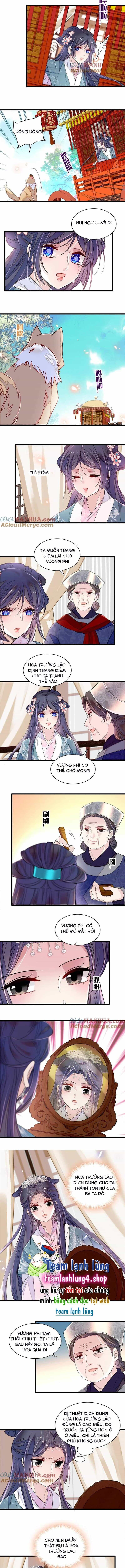 Tự Cẩm - Chương 279 - ảnh 5