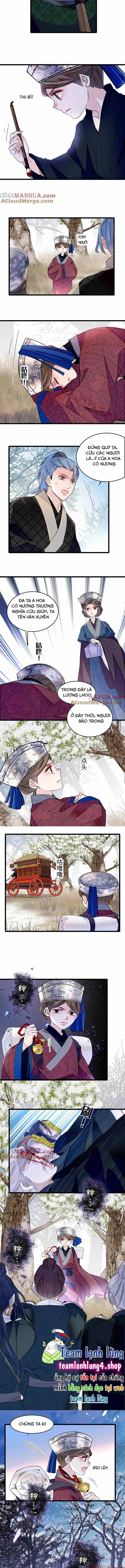 Tự Cẩm - Chương 284 - ảnh 4