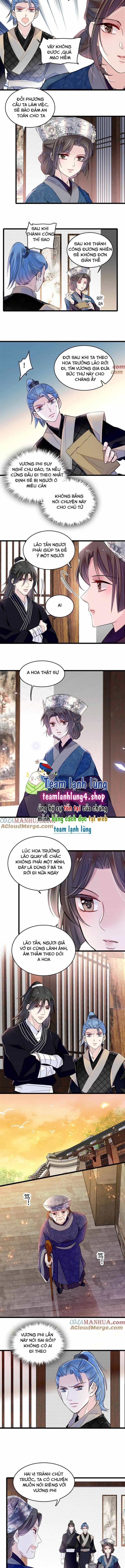 Tự Cẩm - Chương 284 - ảnh 6