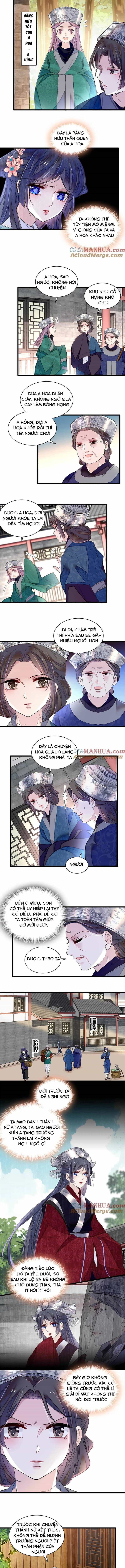 Tự Cẩm - Chương 285 - ảnh 4