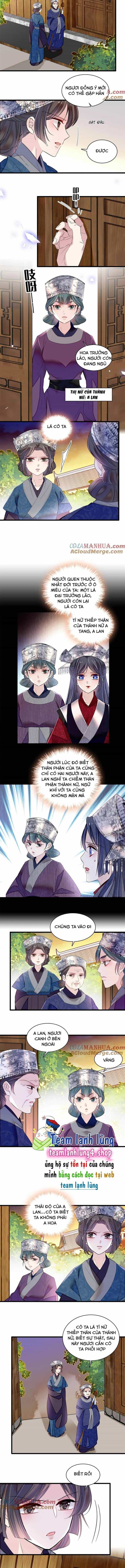 Tự Cẩm - Chương 285 - ảnh 5