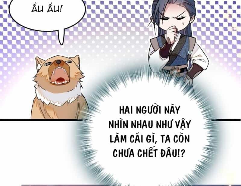 Tự Cẩm - Chương 25 - ảnh 8